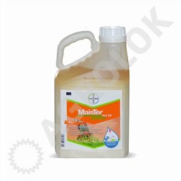 Maister Power 42,5 OD 5l